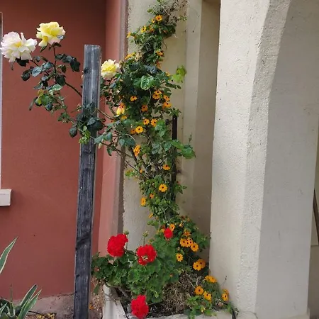Domaine Du Petit Tournebelle Apartment Gruissan Exterior photo