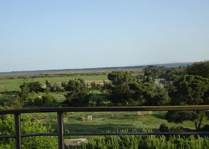 Domaine Du Petit Tournebelle