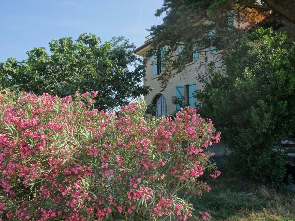 Domaine Du Petit Tournebelle